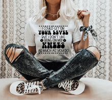 Load image into Gallery viewer, Adult-ISH Tees