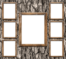 Load image into Gallery viewer, CUSTOM PHOTO 20 oz. Stainless Skinny Tumbler