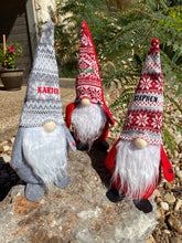 Load image into Gallery viewer, Holiday Gnomes
